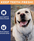 Happy dog promoting CareChewz Collagen Twist Keys Dog Chew Treats 6 To 7 Inch Natural Flavor Beef Hide Dental Style Snack benefits.