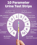 10 Parameter Urinalysis Test Strips For Pets A Complete Urine Test Kit For Dogs And Cats Including Leukocytes Glucose Bilirubin Ketones Specific Gravity Blood pH Protein Urobilinogen And Nitrite, 10-strip chart