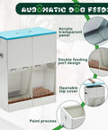 Heavy Duty Gravity Dog Feeder For Two Paw Pals With Forty Six Pound Capacity Rock Solid Galvanized Build with double feeding ports.