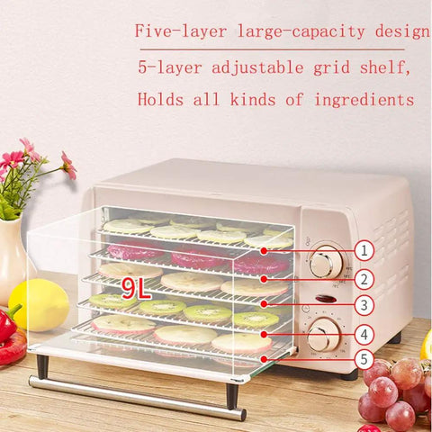 Rock Solid Five Layer Electric Food Dehydrator with transparent trays showing dried fruit, 9L capacity, stainless steel design.