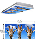 Funny Giraffe Heads Sky View Skylight Film Filter For Drop Ceiling Fluorescent Light 2x4 Feet displayed with measurements.