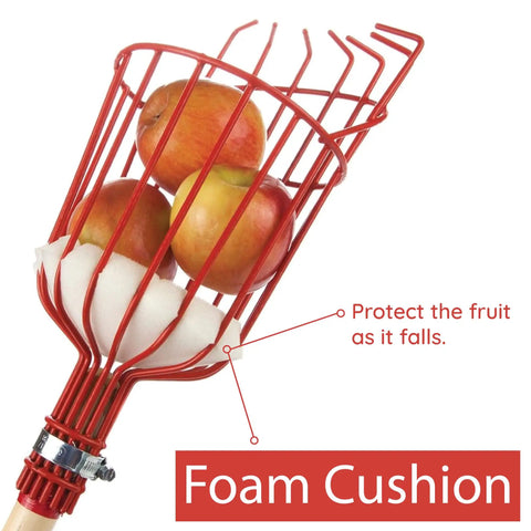Fruit Picker Basket With Adjustable Knob For Juicy Apples From Trees, featuring vinyl-coated basket with foam cushion.