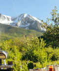Karu 12 Multi Fuel Outdoor Portable Pizza Oven Delivers 950 F Heat For Wood Or Propane Cooks 12 Inch Pizzas In 60 Seconds