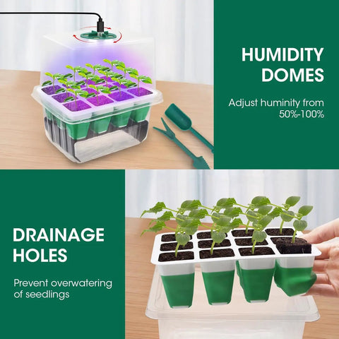 Five Pack Sixty Cell Seedling Trays With Grow Light Kit Indoor Seed Starting Starter Set including humidity domes and drainage holes.