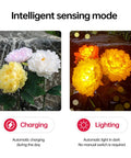 Outdoor Solar Garden Lights Set Featuring Realistic Peony Flower Heads Waterproof Design Bigger Solar Panel And 3 Pack