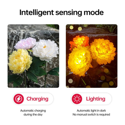 Outdoor Solar Garden Lights Set Featuring Realistic Peony Flower Heads Waterproof Design Bigger Solar Panel And 3 Pack