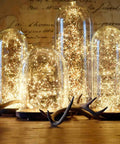 66 Ft 200 LED Fairy Lights With Plug In Switch Warm White Copper Wire String Lights in decorative glass domes.