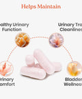 D Mannose With Cranberry And Hibiscus For Urinary Tract Health capsules showing bladder comfort and urinary wellness