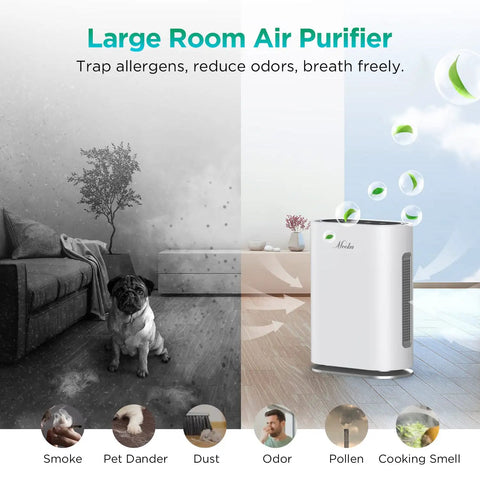 Image of Large Room Air Purifier with particles of smoke, pet dander, and allergens, showcasing air cleaning efficiency.