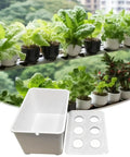 Six Hole Hydroponic Growing Box System For Indoor And Outdoor Gardens Soilless Cultivation Dope For Home Growers with seedlings