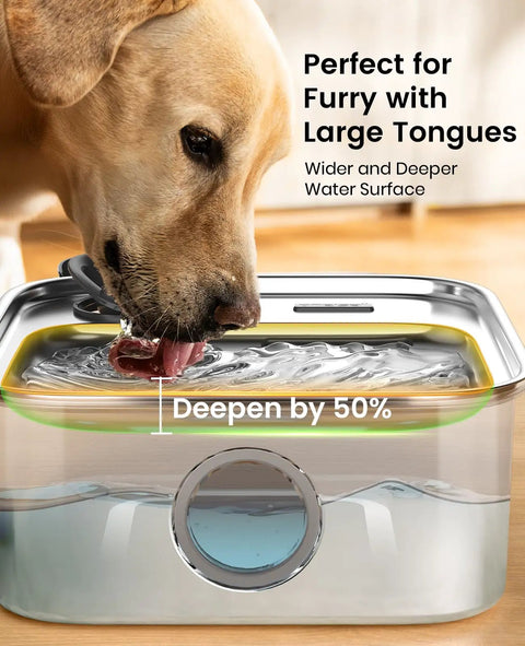 Large Dog Water Fountain 10L Stainless Steel Automatic Water Dispenser With Deeper And Wider Drinking Area used by Labrador
