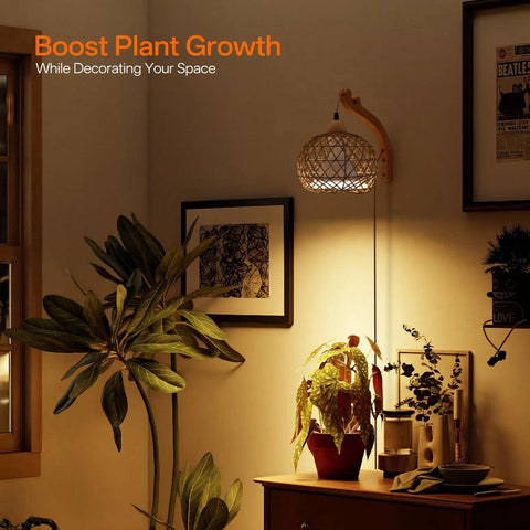Go-To Rattan Hanging Grow Light For Indoor Plant Parents, 3800K Warm White illuminating potted houseplants on a wooden side table.