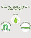 Illustration of insects killed by Organic Garden Insect Killer Spray for Home Gardens and Greenhouses, showing aphids and worms