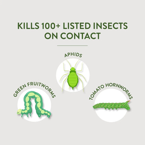 Illustration of insects killed by Organic Garden Insect Killer Spray for Home Gardens and Greenhouses, showing aphids and worms