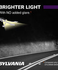 H7 XtraVision High Performance Halogen Headlight Bulbs Kit For High Beam Low Beam And Fog Replacement illustration on dark road