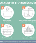 Step-by-step instructions for Indoor Cat Grass Kit For Healthy Digestion And Hairball Control Organic Cat Grass Seeds.