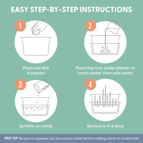 Step-by-step instructions for Indoor Cat Grass Kit For Healthy Digestion And Hairball Control Organic Cat Grass Seeds.