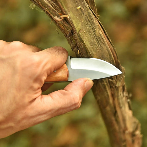 Five Point Five Inch Handmade Hunting Skinning Knife With Two Inch D2 Steel Fixed Blade And Three Point Five Inch Olive Wood Handle Premium