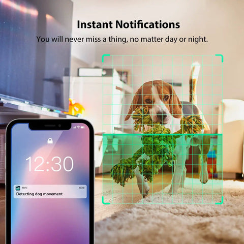 Outdoor And Indoor Security Camera With Spotlight And 1080P WiFi Surveillance Color Night Vision detects dog movement