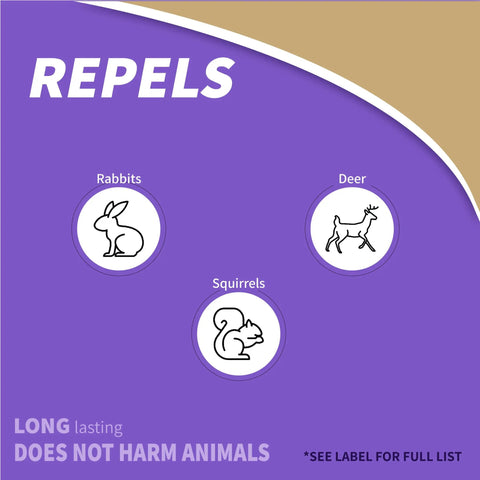 Repels rabbits, deer, and squirrels graphic for Hot Pepper Wax Animal Repellent Spray 32 Oz Ready To Use Keeps Deer Rabbits And Squirrels.