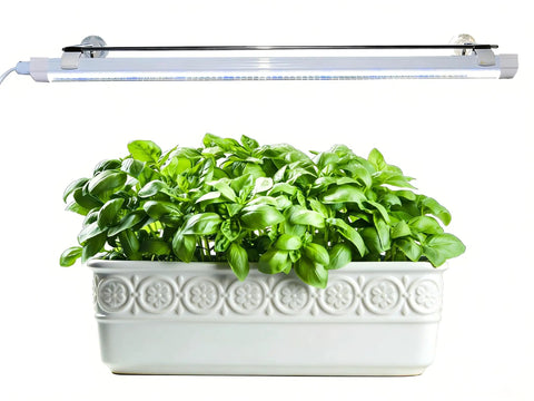 2Ft Suction Cup Plant Grow Light 12W LED Wall Mount Grow Lamp With Adjustable Height above leafy herbs in ceramic pot