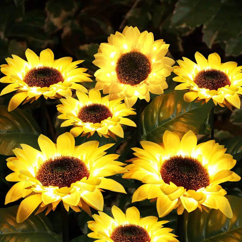 Sunflower Solar Garden Stake Lights Set Of 2 For Outdoor Decor 26 Inch glowing yellow at night in a garden setting