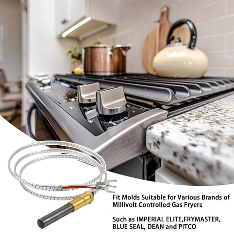 Robertshaw thermopile with 36-inch braided stainless steel cable, 2 leads and PG9 adapter (front view)