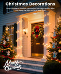 Clear Christmas String Lights 100 Count On Green Wire 20 Feet Incandescent Mini Bulbs Ideal For Indoor Xmas Tree Garland Party Decor Birthday Wedding Festival Lighting End To End Connectable adorning a house entrance with festive trees.