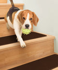 Dog walking on Skid Resistant Carpet Stair Treads Set Of 15 In Chocolate Brown 8 Inch By 30 Inch With No Slip Grip Rubber Backing