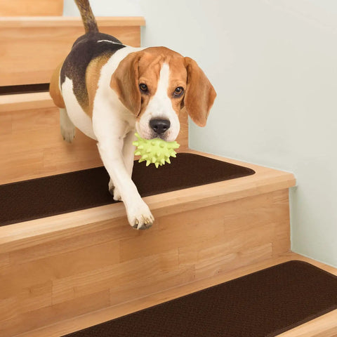 Dog walking on Skid Resistant Carpet Stair Treads Set Of 15 In Chocolate Brown 8 Inch By 30 Inch With No Slip Grip Rubber Backing