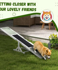 71 Inch Dog Agility Seesaw Outdoor Training Platform with Color Marked Zones slip resistant wood for dogs in backyard
