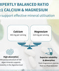 Red Algae Calcium Magnesium Complex With K2 D3 And Boron For Strong Bones And Bone Health Real Deal High Absorption Mineral Details