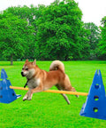 Dog performing jump on obstacle course with Dog Agility Training Equipment Obstacle Course With Adjustable Ladder Durable Plastic Cones And Wooden Rungs
