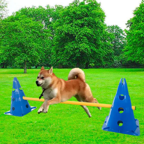 Dog performing jump on obstacle course with Dog Agility Training Equipment Obstacle Course With Adjustable Ladder Durable Plastic Cones And Wooden Rungs