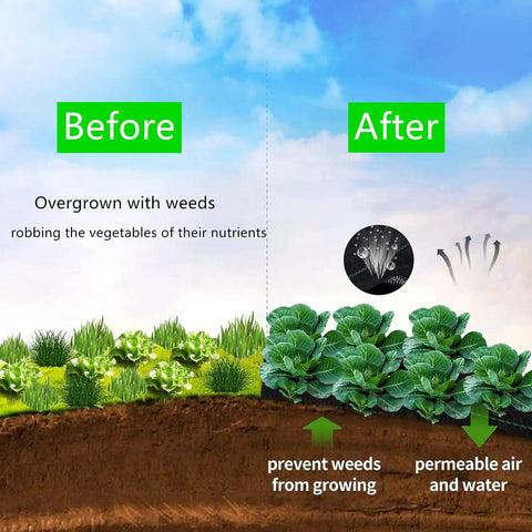 Before and after comparison using Heavy Duty Weed Barrier Fabric 3ft By 300ft 3.2oz Tear-Resistant Ground Cover for weed control.