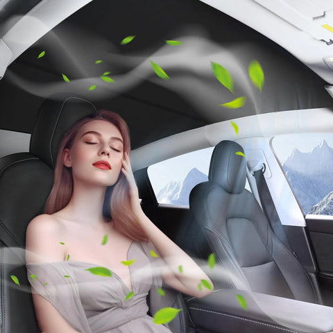 Fannasi roof sunshade installed in Tesla Model 3 interior, full-coverage sunroof shade for 2021-2023, UV protection
