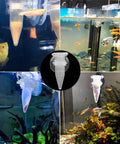 Acrylic V Shape Conical Aquarium Fish Feeder Cup For Live Red Worms Bloodworms And Brine Shrimp Eggs, clear with suction base in multiple aquariums.
