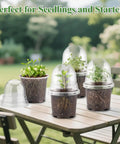 Clear Nursery Pots With Humidity Domes For Seedlings, 4 inch plastic plant pots with drainage holes on table in garden