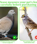 Pigeon with leg band and smaller bird comparison, 100 Pack 8mm Colorful Readable Leg Bands For Baby Chick And Small Birds, Clip On Identification Rings