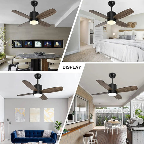 38 Inch Ceiling Fan With Lights Remote Control For Patio And Outdoor Spaces App Control Dimmable Quiet DC Motor Perfect For Sunroom Screen Porch Living Room And Bedroom Black, shown in different rooms.