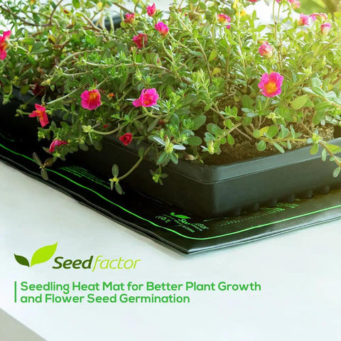 Certified Seedling Heat Mat 2 Pack Waterproof Germination Station Heating Pad For Indoor Home Gardening Keeps Seed Roots Between 70 And 85 Degrees Fahrenheit Durable Hydroponic Seed Starter Mat 10 By 20 Inches Germination Boost
