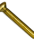 Premium Slotted Oval Machine Screws Size Six Thirty Two Coarse Thread One Inch Long solid brass screw with slotted head