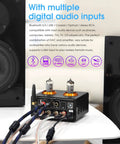 Rear view of ST-01 Pro 200W Bluetooth Tube Amplifier With USB DAC Coaxial And Optical Inputs showing multiple connections and tubes.