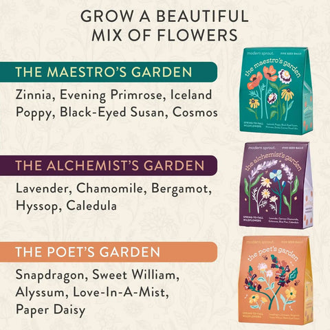 Seed Ball Kit Bundle Pack Of 3 Hand Rolled Wildflower Bombs Non GMO Mix For Annual And Perennial Blooms package design
