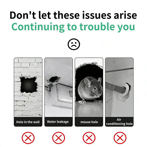 Illustration of common home issues including wall holes, water leakage, mouse holes, and air conditioning duct problems.