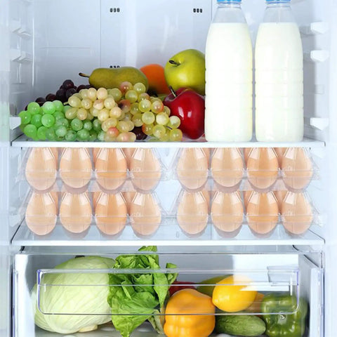 Refrigerator stocked with Eco Friendly Plastic Egg Cartons 12 Egg Capacity 3x4 Grids Bulk With Transparent Lid and fresh produce.