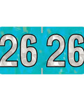 Holographic Aqua 2026 Year Labels For End Tab File Folders With Heavy Duty Adhesive USA Made Chart Stickers 3/4 X 1-1/2 Inch 500 Labels Per Roll