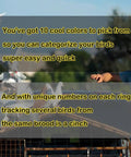 Man releasing pigeons with 100Pcs Multicolor Aluminum Pigeon Leg Rings for Easy Identification and Training Birds Foot Bands.