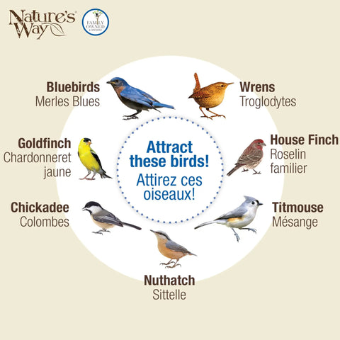 Chart depicting birds attracted by Bluebird Buffet Metal Bird Feeder With Protective Baffle including bluebirds, wrens, and others.