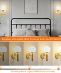 Modern Glass Globe Shade Wall Sconce in Brass Finish beside bed with dimmable warm light settings shown below